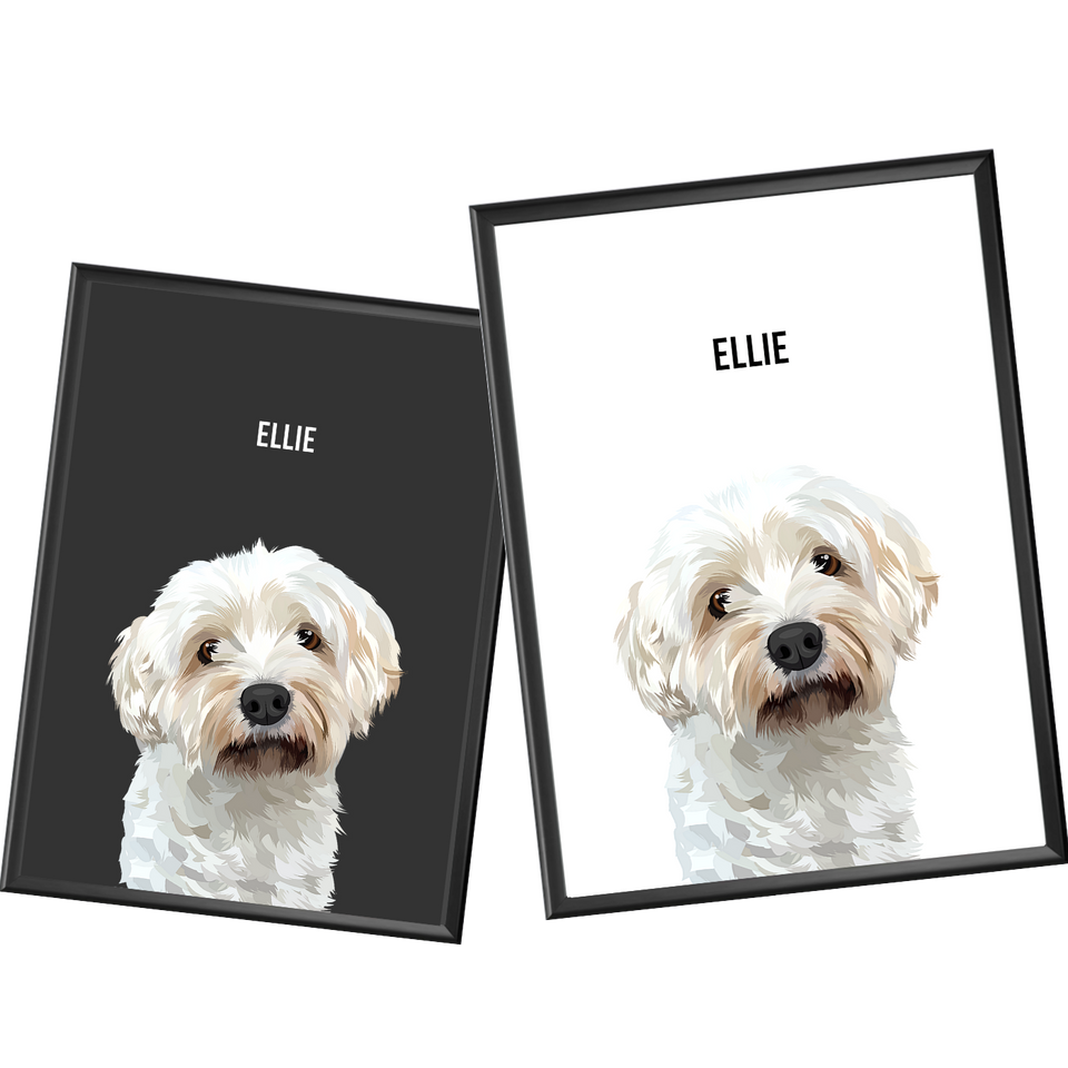 customise your pet portrait