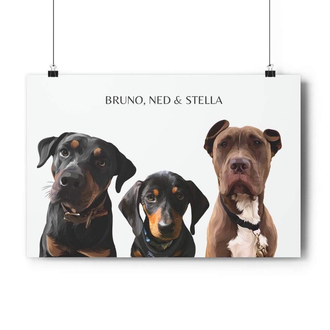 three pet portrait white background poster