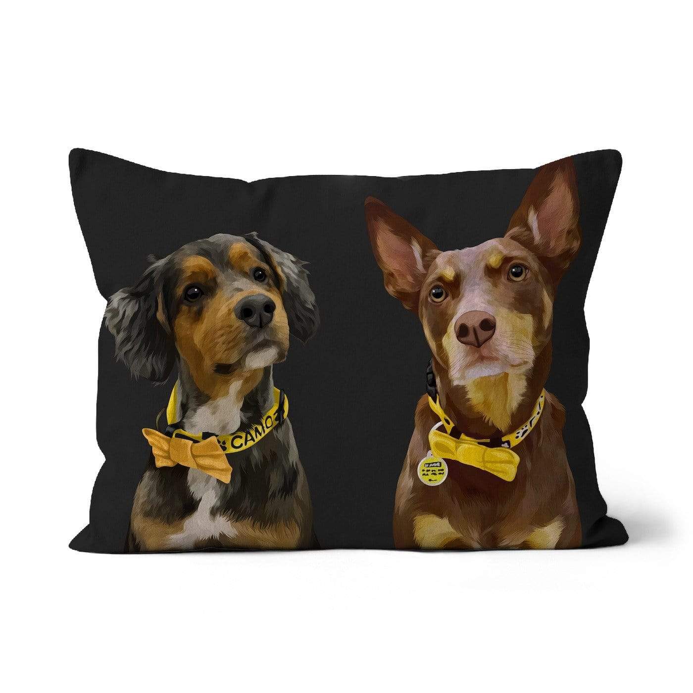 2 pet cushion black