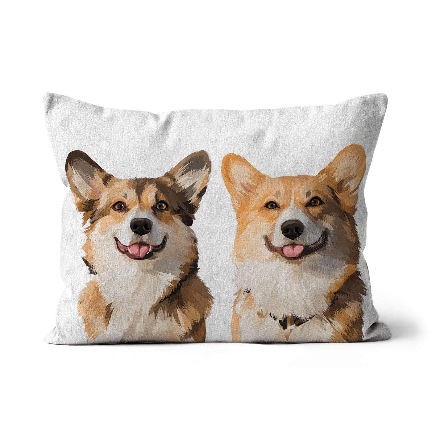 2 pet pillow white