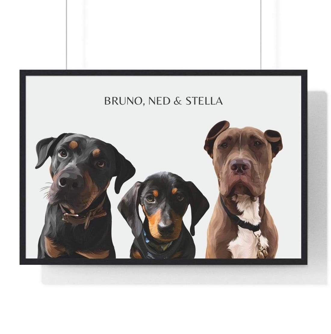 three pet portrait white background black frame