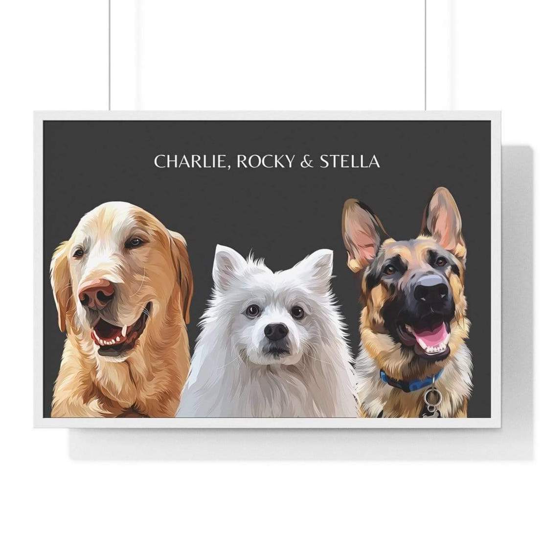 three pet portrait black background white frame